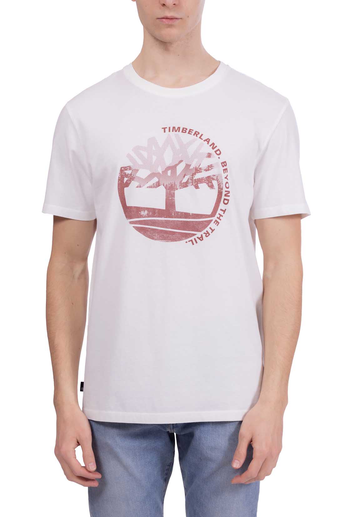 TIMBERLAND - Men's regular T-shirt with graphic print  - Size XXL-11