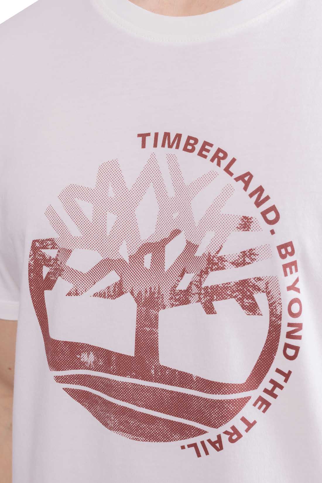 TIMBERLAND - Men's regular T-shirt with graphic print  - Size XXL-0